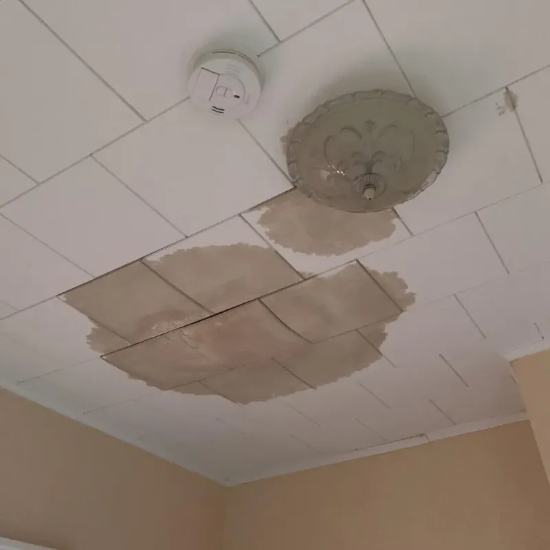 Ceiling Water Damage Repair in Doniphan County, KS