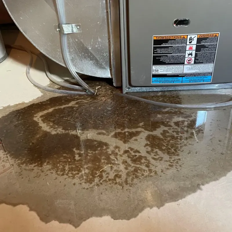 Pipe Burst and Leak Restoration in Doniphan County, KS