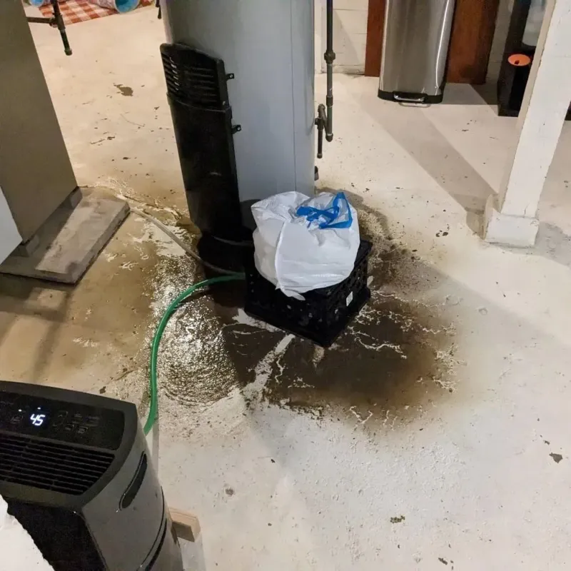 Sewage Backup Cleanup Service in Doniphan County, KS